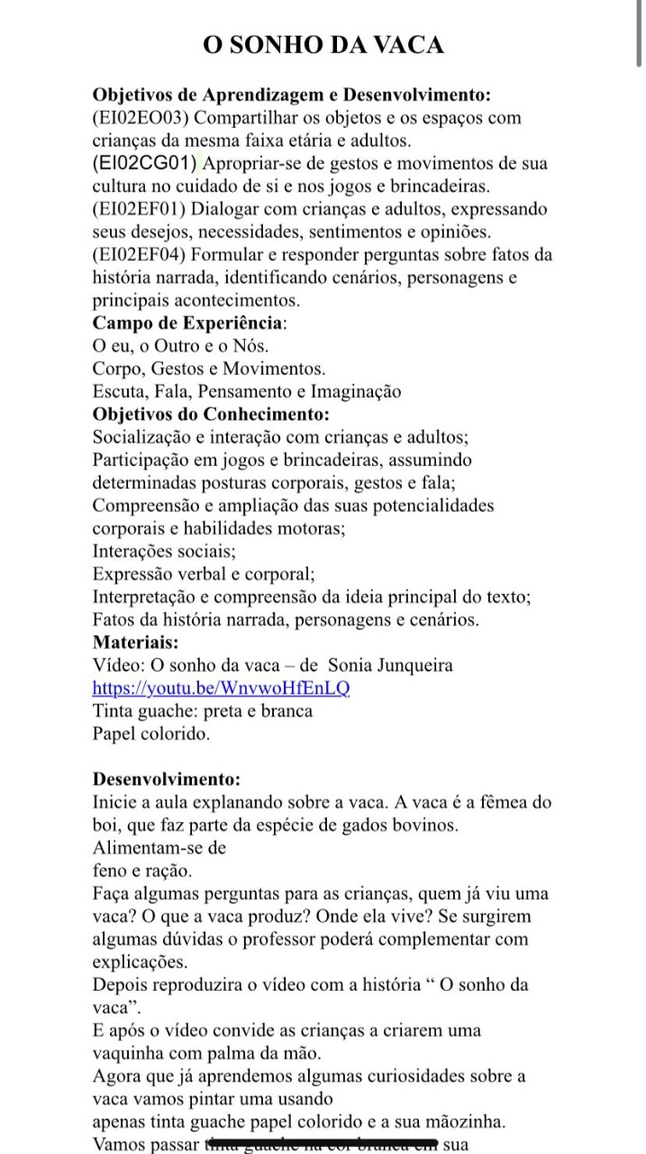 PLANOS DIÁRIOS MATERNAL