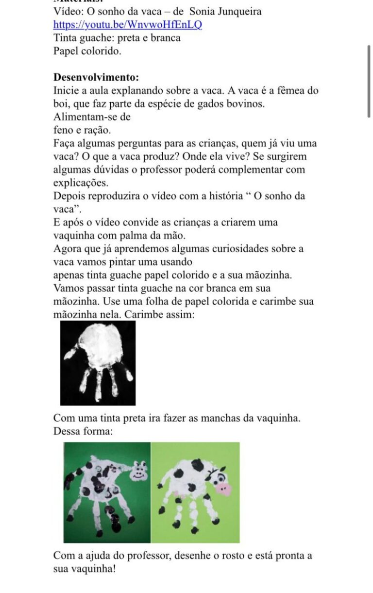 PLANOS DIÁRIOS MATERNAL